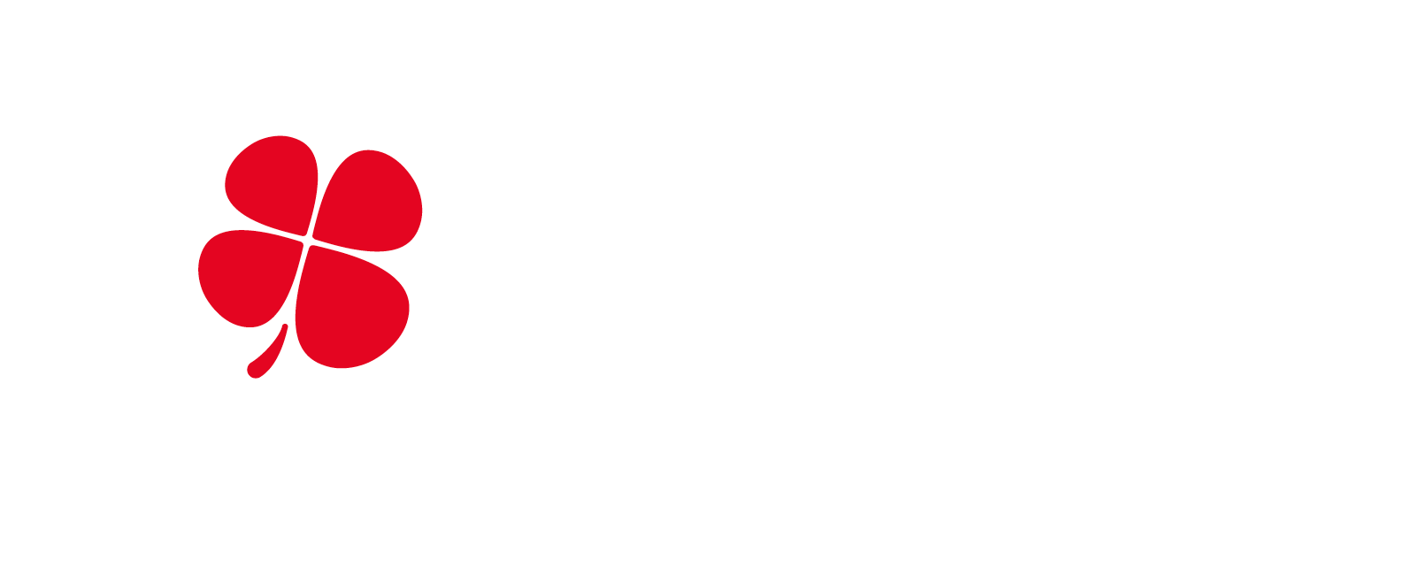 Ergos Insertion